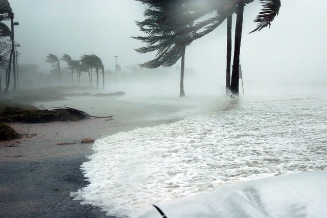 hurricane in florida